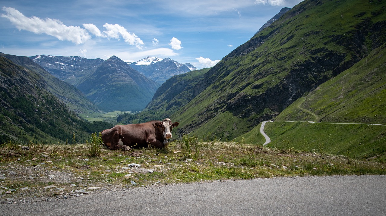 landscape, mountain landscape, french alps-7453560.jpg